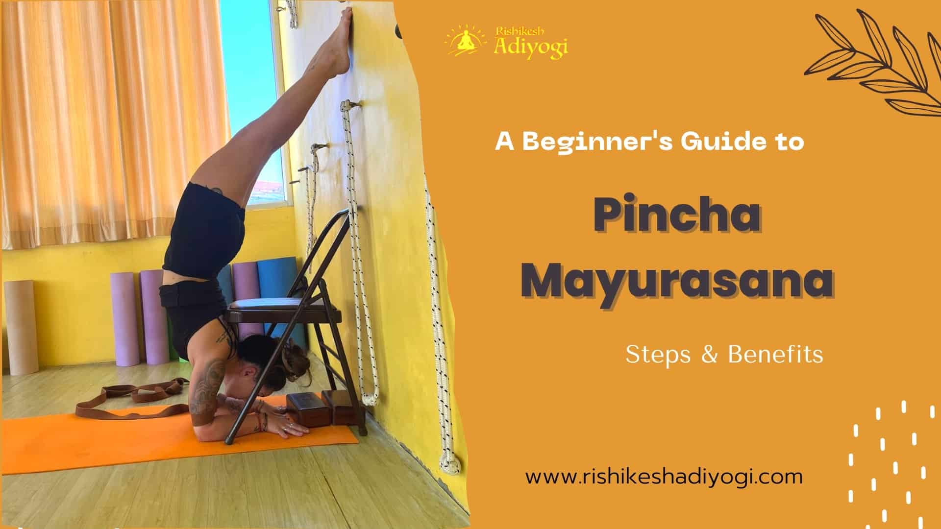 A Beginner's Guide to Pincha Mayurasana Steps & Benefits